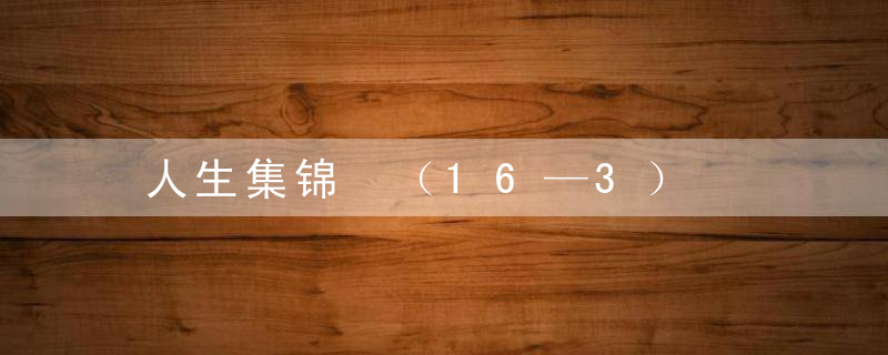 人生集锦 （16—3）